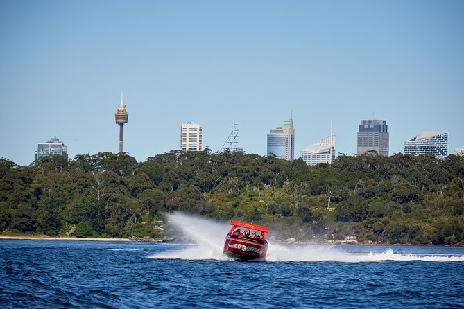 30-Minute Sydney Harbour Jet Boat Thrill Ride - Seeing the Opera House from the water