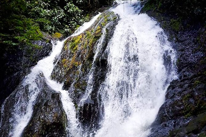 5 Hour Off-Road ATV+ Zipline+ Waterfall Rappelling+ Tractor Jungle Tour - Food, drinks, and the five-hour pace