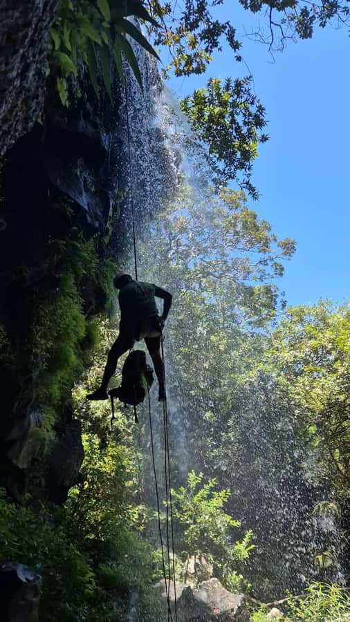 Abseiling/Canyoning - The Forest Sections and Tamarind Falls Scenery