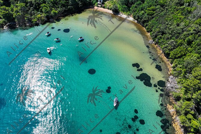 Adrenaline Adventure on Speedboat with 3 stops and Snorkeling - Who should book this speedboat trip?