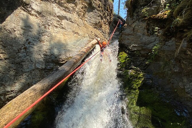 Adrenaline Canyoning Kelowna - The short walk back to the cars