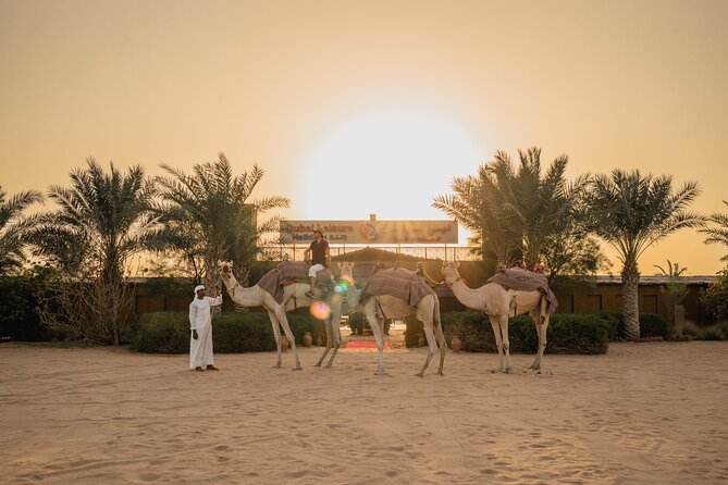Adrenaline combo : Desert activities + ATV or Quad bike option - A short camel trek with a traditional feel