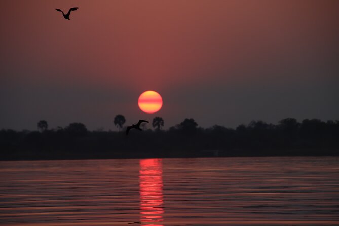 Adrenaline Jet Boat Safari in Victoria Falls - Is $100 a fair price?