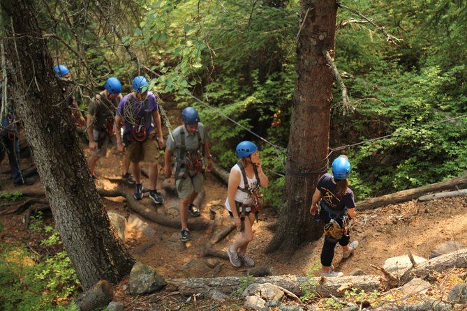Adventure Parks & Zipline Tour - From the port to the Klondike Highway