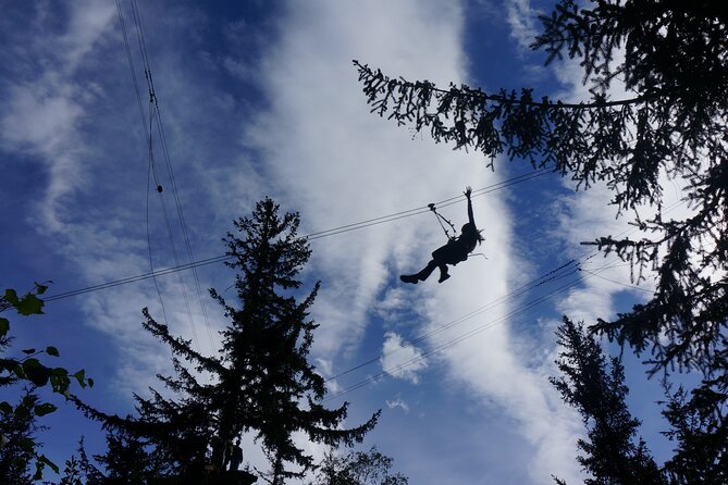 Adventure Parks & Zipline Tour - Six ziplines through the Alaskan canopy