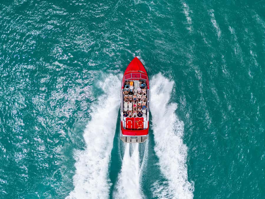 Airlie Beach: 30-Minute Jet Boat Ride - Finding the floating office at Coral Sea Marina