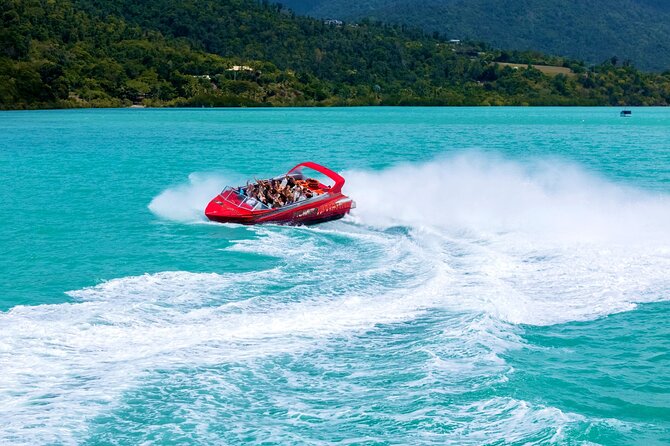 Airlie Beach Jet Boat Thrill Ride - Wildlife sightings are possible, not promised