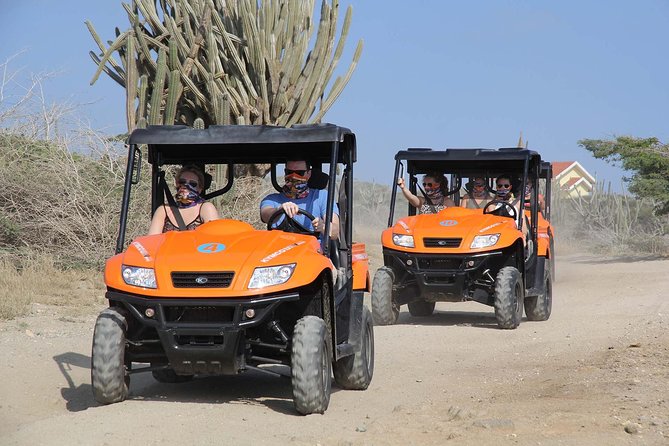 Aruba UTV Tour with Natural Cave Pool and Cliff Jumping - What the $121.80 price really buys you