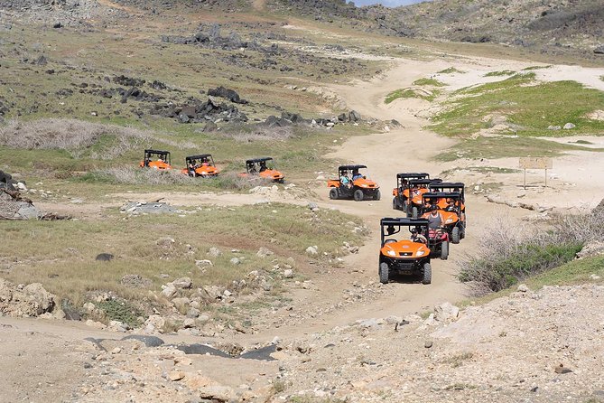 Aruba UTV Tour with Natural Cave Pool and Cliff Jumping - Pickup, vehicles, and the first burst of dust