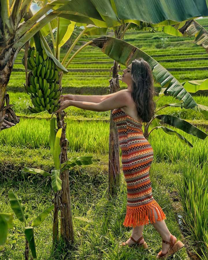Bali: Cliff Jumping Gitgit Waterfalls & Rice Terrace Tour - The Private Car Makes the Long Route Easier