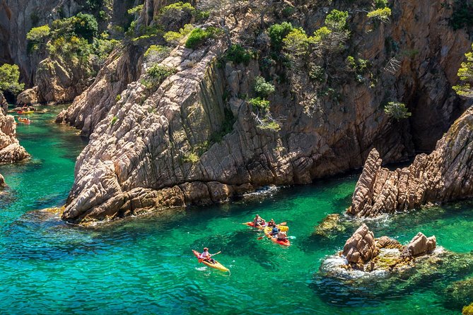 Barcelona Costa Brava Kayak, Snorkel & Cliff Jump Day Tour - Cliff jumping, with choices for different comfort levels