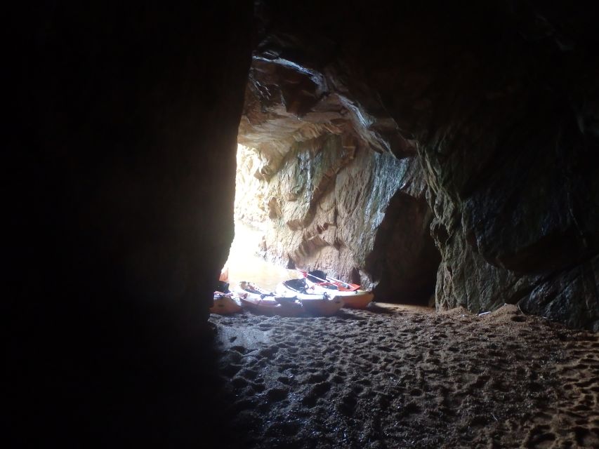Barcelona: Costa Brava Kayak, Snorkel & Cliff Jump & Lunch - Snorkeling, fish, and realistic sea life expectations