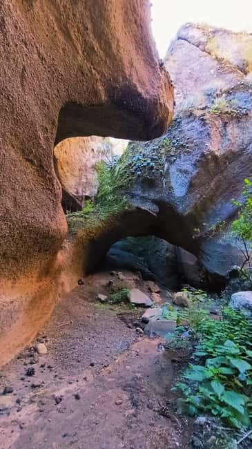 Barranquismo Tenerife: Canyoning Adventure - Key points to know before canyoning in Tenerife