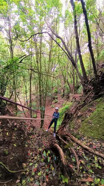 Barranquismo Tenerife: Canyoning Adventure - Guide quality and group atmosphere