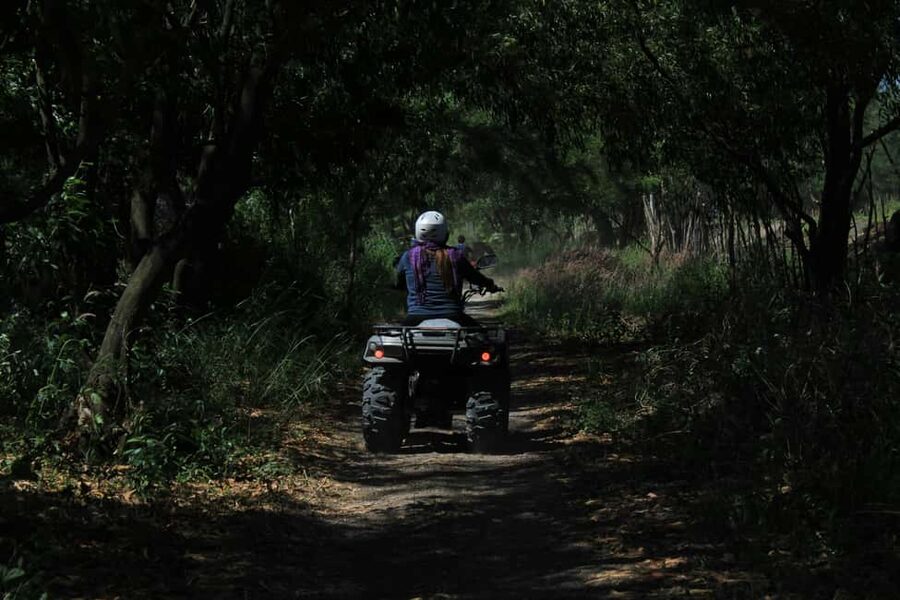 Batumi: Extreme Escape – ATV, Buggy, Horses & Hike - A family-run stop, local BBQ, and homemade chacha
