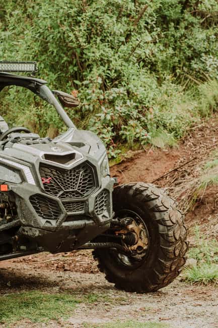 Batumi: Extreme Escape – ATV, Buggy, Horses & Hike - Should you book the Batumi Extreme Escape?