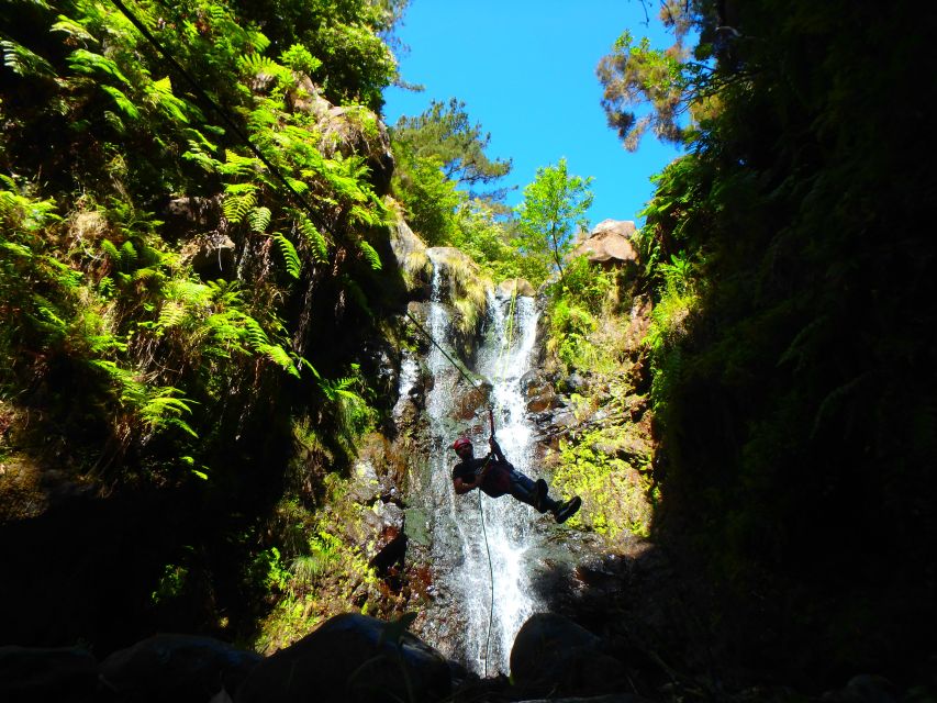 Beginner Canyoning Madeira - Quick take: the details that matter