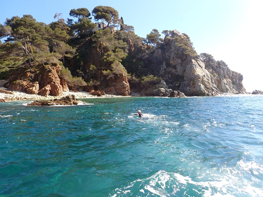 Blanes: Coasteering - the best coasteering in costa Brava - Rock jumps with room to choose your comfort level