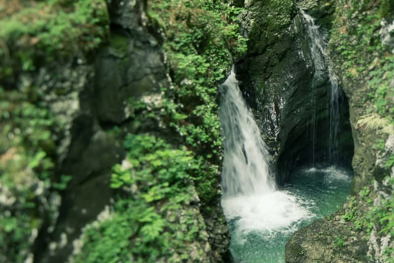 Bled: Triglav National Park Canyoning Adventure with Photos - Who should book this adventure?