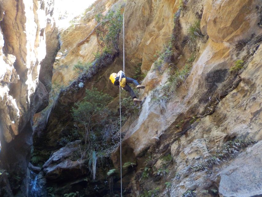 Blue Mountains: Abseiling and Canyoning Experience - How weather may change your day