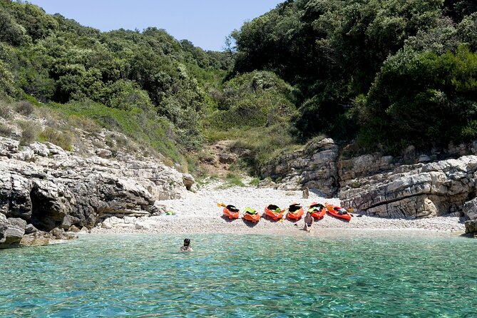 BOAT & KAYAK! Sea Adventure - Snorkeling & Cliff Jumps - Guides, safety, and the group experience