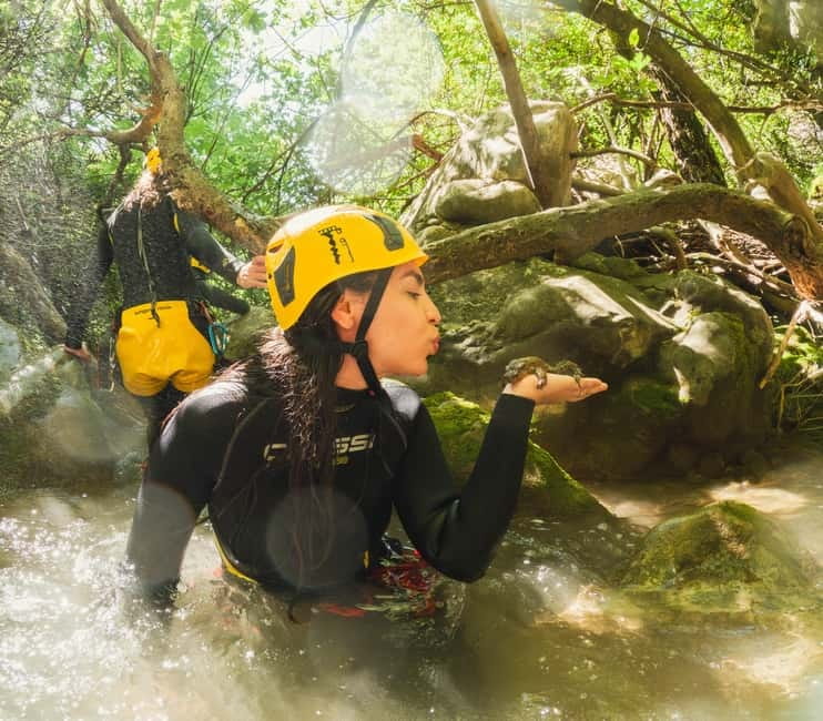 Budva Canyoning: Drenostica Canyon Adventure - Key points at a glance