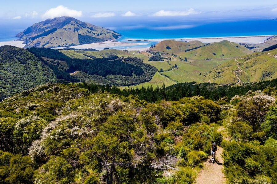 Cable Bay Adventure Park: E-bike hire - Getting comfortable before the first climb