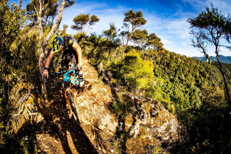 Cable Bay Adventure Park: E-bike hire - Making the 14-kilometre return ride to Bayview