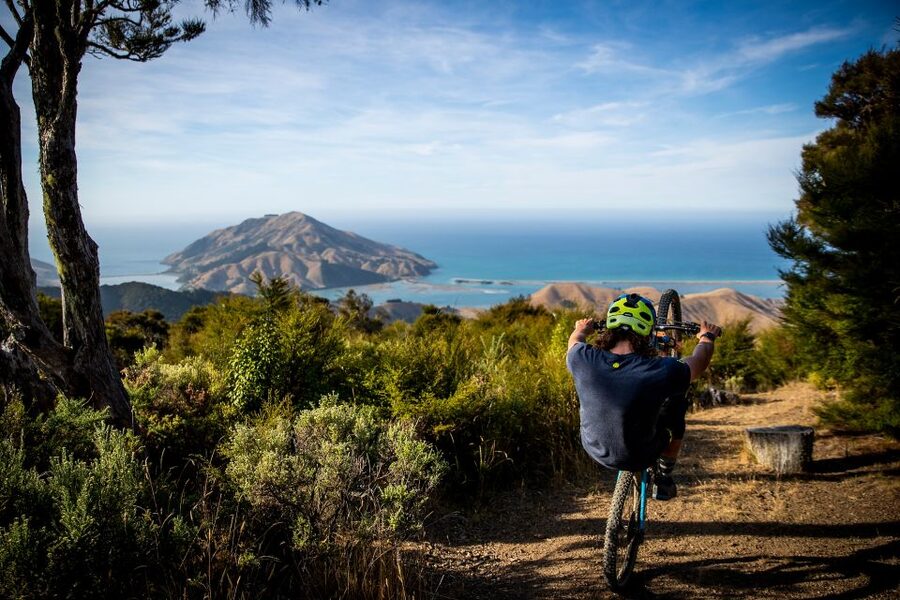 Cable Bay Adventure Park: E-bike hire - The four-hour hire and what it really buys you