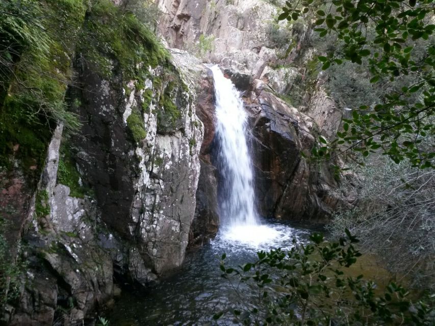 Cagliari: Canyoning in Sardinia - Rappelling, Slides, and the Water Route