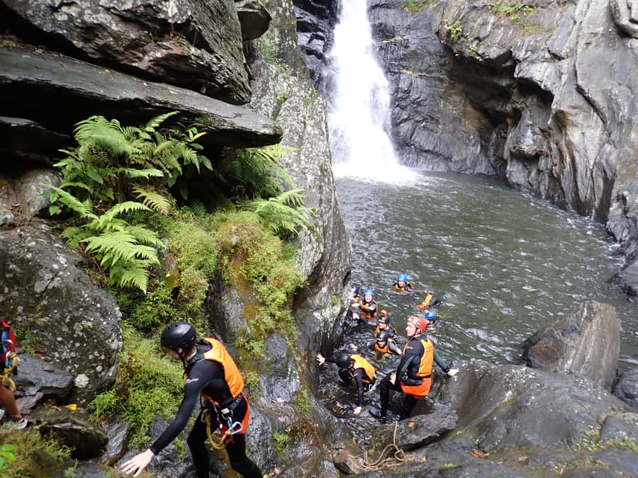 Cairns Full-Day Canyoning Adventure tour - Who should book this adventure?