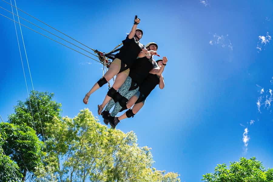 Cairns: Giant Swing - Key points before you book