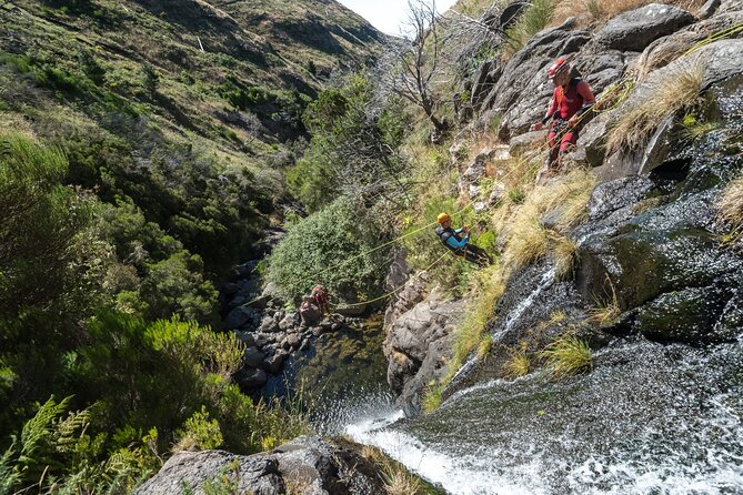 Canyoning in Madeira: Ideal for Beginners and Families - What This Madeira Canyoning Day Actually Involves