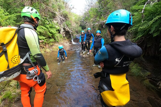 Canyoning in Madeira Island- Level 1 - What this Madeira canyoning trip is really like