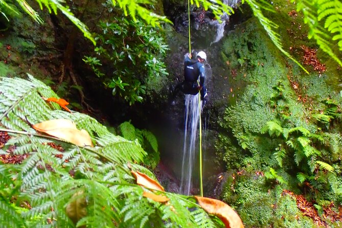 Canyoning Madeira Island - Level One - Jumps, slides, and pools keep the pace lively