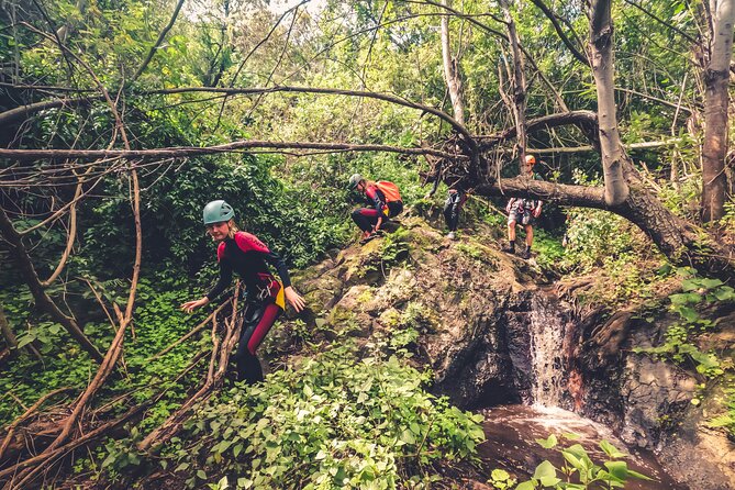 Canyoning with Waterfalls in the Rainforest - Small Groups ツ - What to pack, and what not to bring