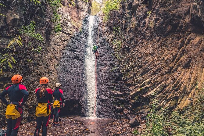 Canyoning with Waterfalls in the Rainforest - Small Groups ツ - The approach walk is part of the challenge