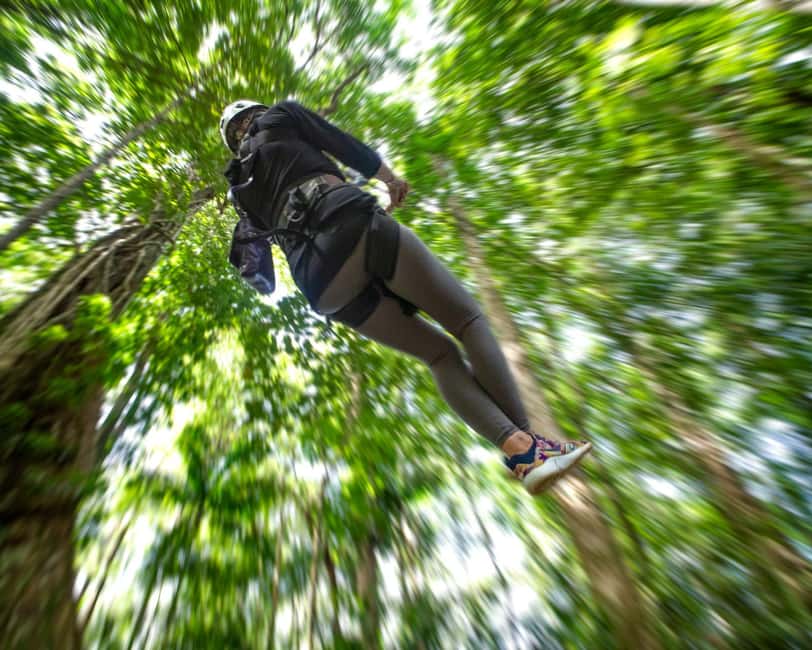 Castries, St. Lucia - Adrenaline Zipline - Why this zipline course works so well