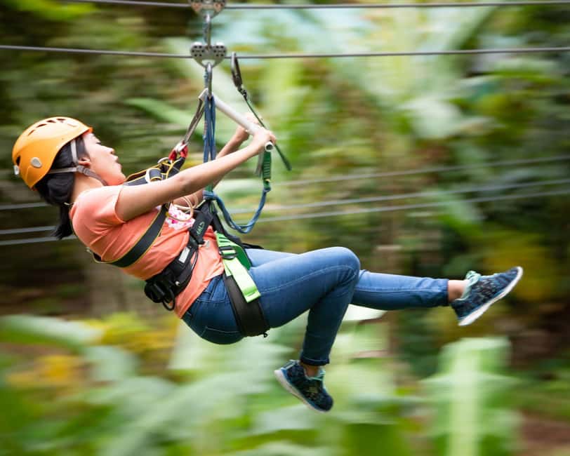Castries, St. Lucia - Adrenaline Zipline - Short forest hikes add needed variety