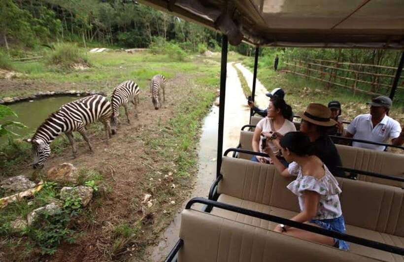 Cebu:Cebu Safari Adventure Park Day Trip - The animal welfare question