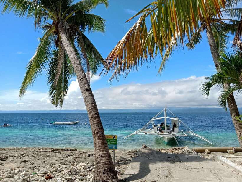 Cebu: Kawasan Canyoning, Moalboal Snorkeling, & Turtles Tour - Lunch with a waterfall view