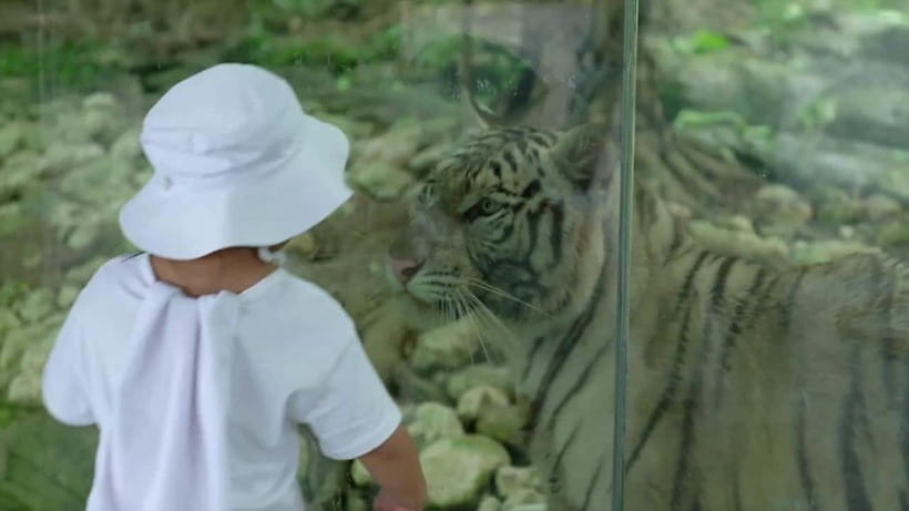 Cebu Safari & Adventure Park: Wildlife Tour with Transfers - Is $103 a fair price?
