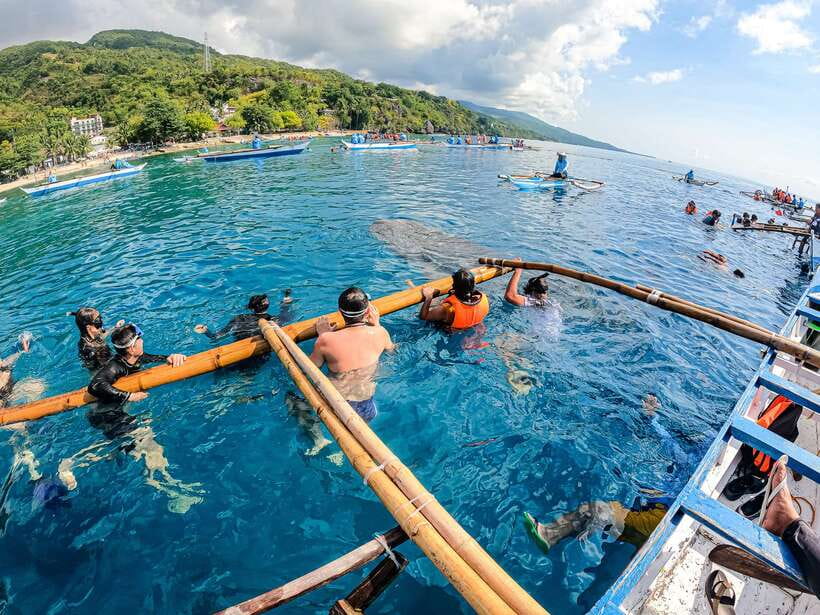 Cebu: Whale Shark Snorkeling & Kawasan Canyoning Tour - Booking flexibility and language support