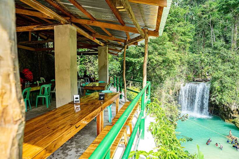 Cebu: Whale Shark Snorkeling & Kawasan Canyoning Tour - Canyoning through the Kawasan river