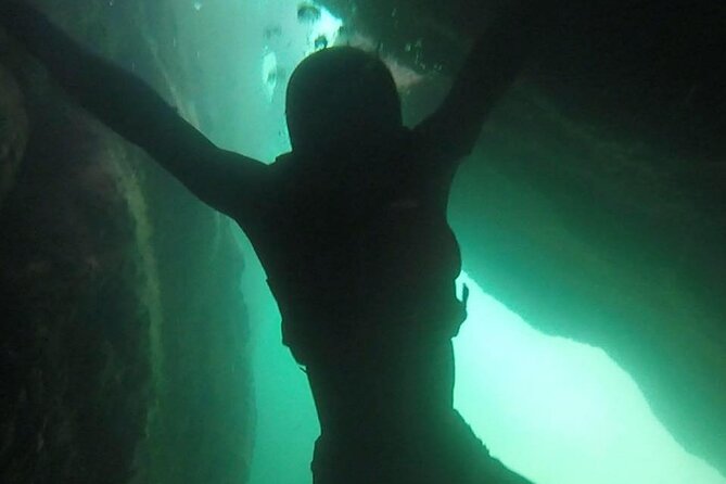 Coasteering Geopark Adventure In Torquay - Ancient rock, forest, and local stories