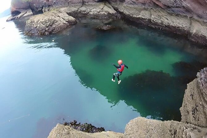 Coasteering Geopark Adventure In Torquay - Seals and the chance of coastal wildlife