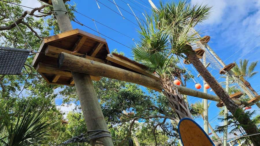 Cocoa Beach: Aerial Adventure Park Ticket - Green courses offer a sensible beginning