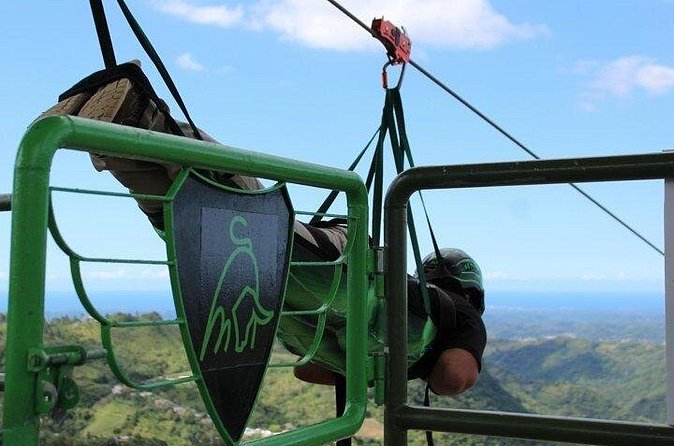 Conquer the Skies: Monster Zipline at Toro Verde Adventure Park - Price and what the $120.56 covers