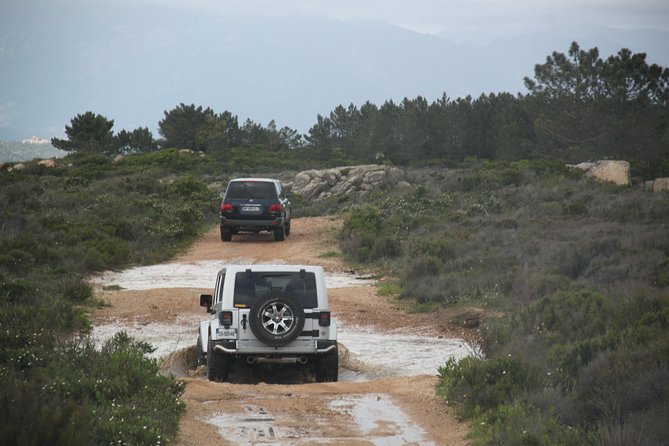 Corsica Extreme Sud Day 4X4 Excursions from Porto-Vecchio - Who will enjoy this day most
