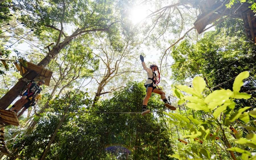 Currumbin: Treetop Challenge Adventure Park - A rainforest course beside Currumbin Beach
